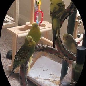 Meet your Posher, Cyndi